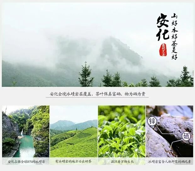 古道麻溪黑茶