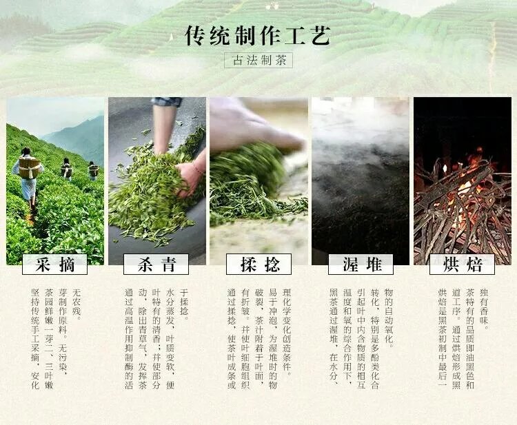 古道麻溪黑茶